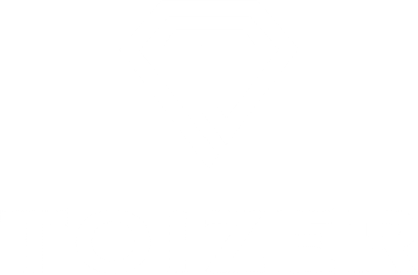 TOIZER